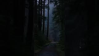 Moody Forks in the Rain. #twlightsaga #forkswashington #rain #foggymorning #forest