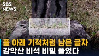 풀 아래 기적처럼 남은 글자…감악산 비석 비밀 풀었다 / SBS