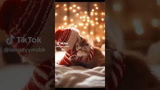 Cute baby Lough and cat