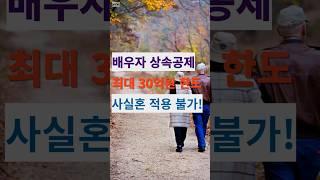 배우자 상속공제 한도(최대 30억원), 사실혼은 적용 불가!!!