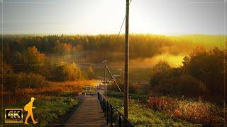 Beautiful Foggy Morning Autumn Walk ️ Keinukallio, Finland