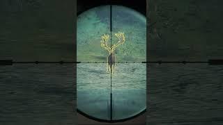 7MM vs  Diamond - theHunter: Call of the Wild #shorts