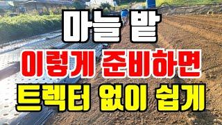 마늘밭 만들기 꼭 해야할 두가지 마늘밭 쉽게 만드는 방법