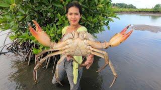 How to Catch GIANT Mud Crabs In Mangroves Area