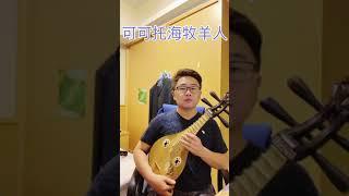 柳琴演奏-可可托海的牧羊人