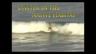 Daxter's Baja Birthday