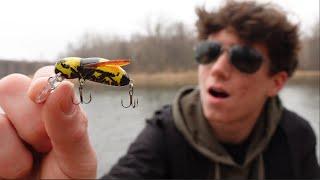 I Fished With a BUMBLEBEE Lure!