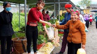 Harvest asparagus to sell at the market - build a new garden - Ana Bushcraft