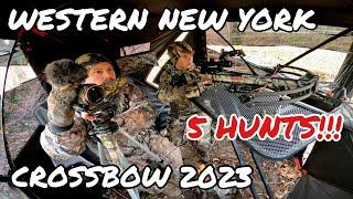 Multiple Buck Encounters & Two Arrows Released!!! Crossbow Hunting 2023