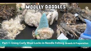 Felting 101: PART 1 Using Curly Wool Locks in Needle Felting: Sheep Breeds & Prepping Locks