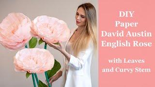 How to make Giant David Austin Rose from Crepe Paper | DIY Juliette English Rose