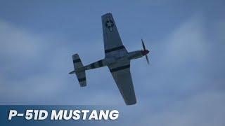 P-51D Mustang "Warhorse" - Spectacular Display In The Summer Sky