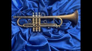 Taylor Chicago 46 Jazz Bb Trumpet: Wow!! :)