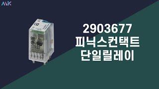 PHOENIX CONTACT 피닉스컨택트 단일릴레이 REL-IR4/LDP- 24DC/4X21 - 2903677