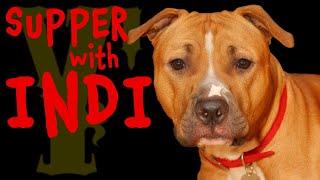 Supper with Indi 06/03/2024 #dog #live #livestream #youtubeshorts #yankeefree #podcast