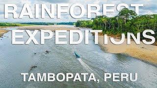 Rainforest Expeditions, Tambopata, Peru