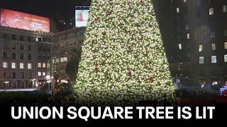 San Francisco's tree in Union Square lit for holiday season