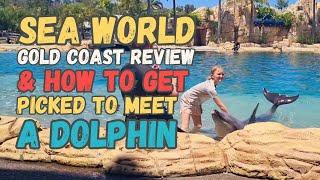 Is Sea World Gold Coast Worth It - Plus How to to Get Picked to Meet a Dolphin 