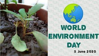 World days - World Environment Day | About | History | Themes | How & When celebrated in India?