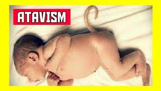 What is an Atavism