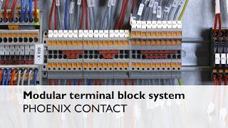 Terminal block system CLIPLINE complete: a COMPLETE line solution for connectivity