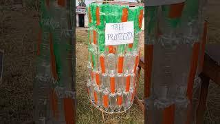 Bottle tree Guard || make a eassly bottles tree protecter| #environment modal||save tree save earth