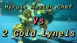 BotW- Double Gold Lynel Fight