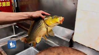 You can not believe this Fish cutting ALIVE and Eat Raw fish in China | Golden river fish cutting