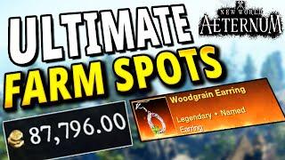 Best Places To FARM And Make GOLD In New World Aeternum