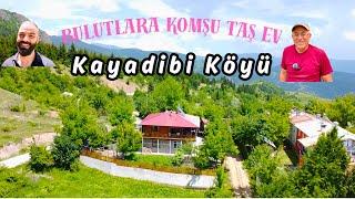 Artvin Kayadibi Köyüne Tersine Göç Eden Bir Ailenin mutlu hikayesi | YENİ BİR HAYAT