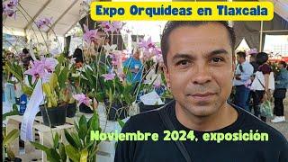 Exposición de Orquídeas Feria de Tlaxcala, México, noviembre 2024