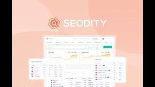 Seodity Lifetime Deal $79 (LTD SEO Tools) | Seodity Review