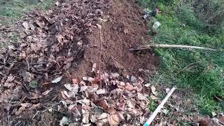 Small swale on a steepish hillside, planting out to trees and shrubs