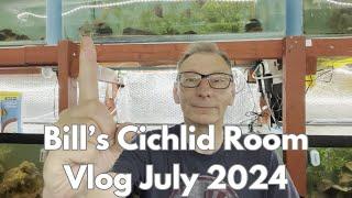 Bill's Cichlid Room Vlog July 2024 Part 1