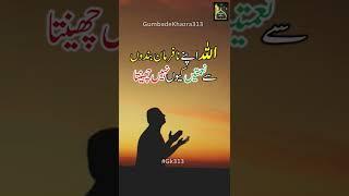 Allah Apny Nafarman Bandon sy#gumbadekhazra313 #gk313 #islamicshortvideos #islamicshorts #shorts