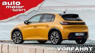 Peugeot 208 (2019): Benziner oder Elektro? - Vorfahrt | auto motor und sport