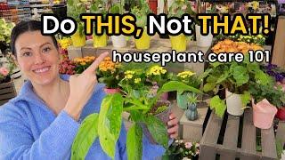 Do THIS, Not THAT Plant Care - Watering, Lighting, Repotting, Soil, Fertilize - Houseplant Care 101