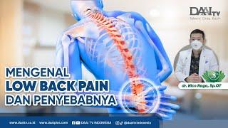 Mengenal Low Back Pain dan Penyebabnya