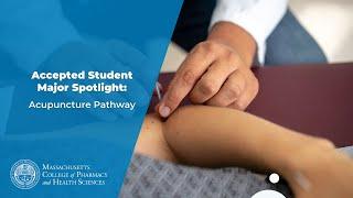 Accepted Student Major Spotlight: Acupuncture Pathway