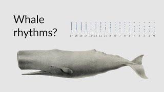 Reproducing sperm whale language in Max MSP