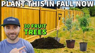 Don't Wait For Spring! Plant These 30 Fruit Trees In Fall NOW!