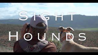 Sight Hounds