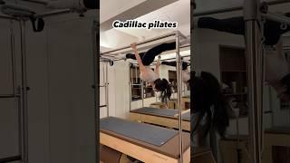 공중부양 split stretch #필라테스 #필라테스강사 #스트레칭 #캐딜락필라테스 #필라테스챌린지 #필라테스복 #필라테스복