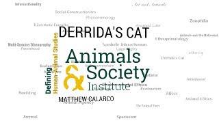 Defining Derrida's Cat with Matthew Calarco - ASI's Defining Human-Animal Studies 20