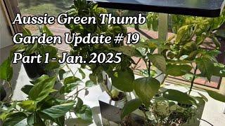 Nathan's Garden Update #19 Pt 1 - Indoor Hydroponic Update + Tips for Full, Lush Pothos