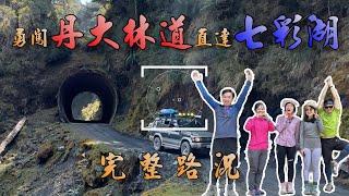 [Taiwan 100 highest Mt.] Complete 56K road con. of Danda Forest Road.  Season limited!  2023.4.3~4.4