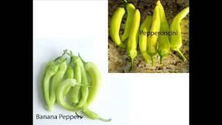 Banana Peppers vs Pepperoncini