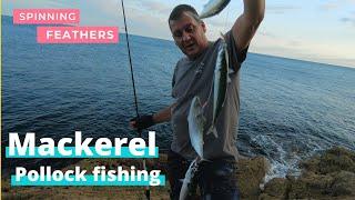 Mackerel and Pollock fishing, sea fishing north wales.