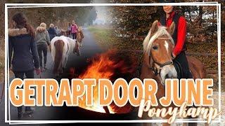 Calijn is getrapt door June?! || Paardzoektbaas ponykampen