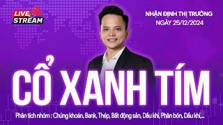 Chứng khoán hôm nay | Nhận định thị trường 25/12/2024: Chọn cổ phiếu xanh tím